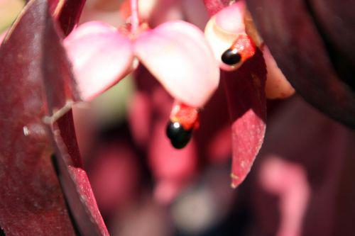 euo grand paris 30 oct 2010 102.jpg