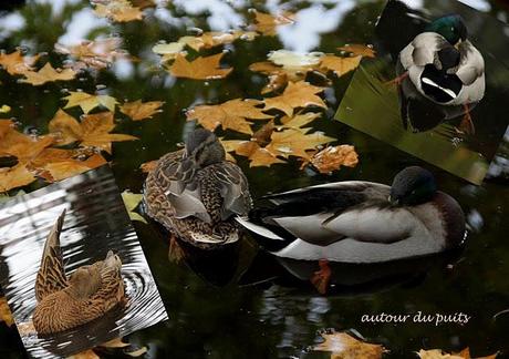 SOLUTION ET SUITE SOLUTION ET SUITE