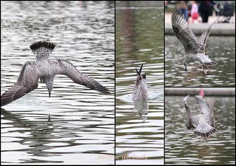 SOLUTION ET SUITE SOLUTION ET SUITE