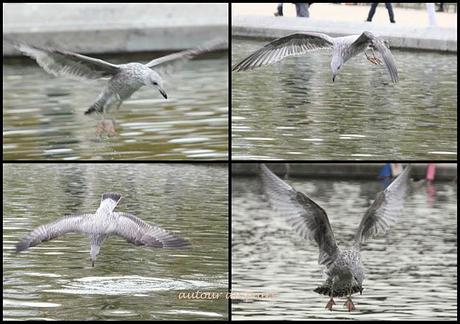 SOLUTION ET SUITE SOLUTION ET SUITE