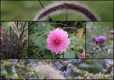 SOLUTION ET SUITE SOLUTION ET SUITE