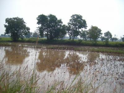 Maman tisse,Papa boit!!!