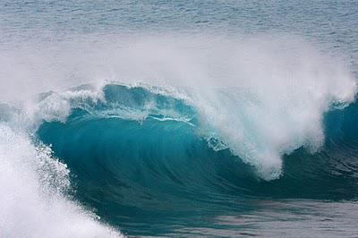 Typhon Chaba (cyclone) à Okinawa