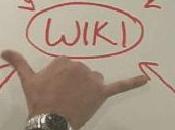 Wikis, utilisation professionnelle "how-to"