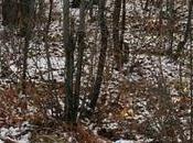 Awesome things.. notre compilation