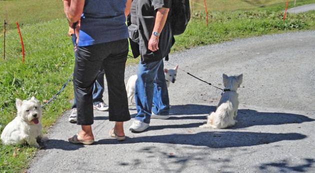 Sans titresssss-ssssss.jpg