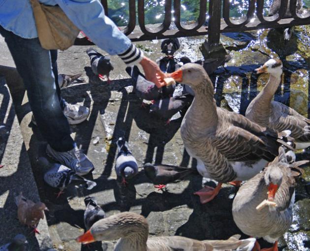 Sans titreA-ssssss.jpg