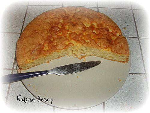 gateau-pomme.JPG