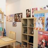 Collectors Otaku Rooms