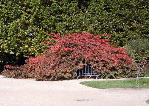 shirotae paris 30 oct 2010 036.jpg