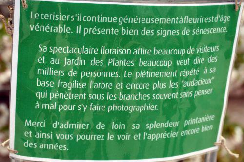 shirotae avis paris 6 avril 018.jpg