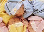 nouvelles baleine....presque échouée