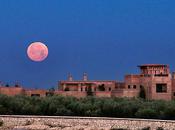 Terres M’Barka temple l’hédonisme