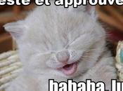 Culture leet: monde fascinant "olol", "xD" "<3"