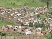 République Démocratique Congo Nord-Kivu crise humanitaire comparable celle Darfour