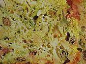 Cake nouvelle frontière