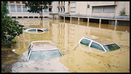 inondation De Nagoya… à Cancun : de la biodiversité au climat