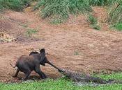 histoire pour enfant.