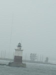 Quoi de neuf à NYC ? épisode 6 : Staten Island, promenade inoubliable sous la pluie