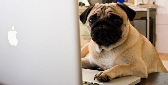 Etude sur les blogueurs : qui sont ils ?