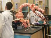 reforme lycées jugée déraisonnable