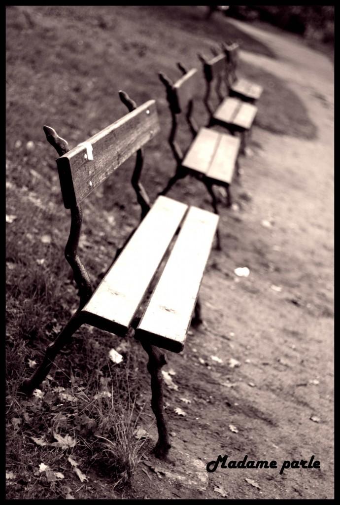 Promenons nous dans les bois ♫♫♫