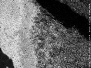 Trilogie : Seule (2)