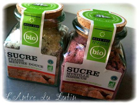 Petits fondants au chocolat et leur crème anglaise Bio à l’Amande, à la Myrtille et à l’Hibiscus sucres_aromatis_s_bio_mini