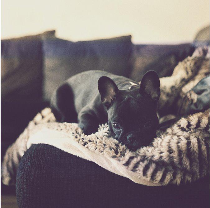 Pics of the day :: Resting