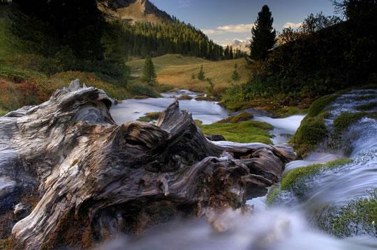 Nicolas Dhervillers et Christophe Sidamon-Pesson lauréats des Zooms 2010