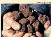 week-end gourmand Lorraine venez titiller papilles gustatives novembre 2010