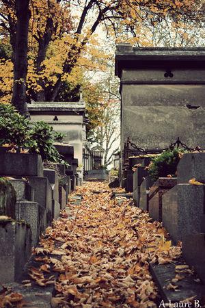 Pere_Lachaise_991_copie