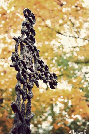 Pere_Lachaise_985_copie