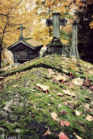 Pere_Lachaise_964_copie