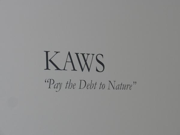 KAWS – PAY THE DEBT TO NATURE – PARIS