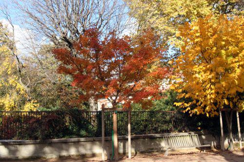 acer trif paris 30 oct 2010 152.jpg