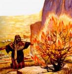 Moïse et le buisson ardent 3.jpg