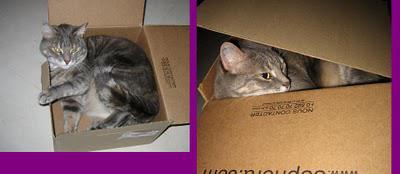 Commande  produits beauté arrivée ...