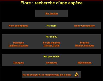 Quelques modifications pour optimiser la recherche d’une espèce dans le Monde de Lupa