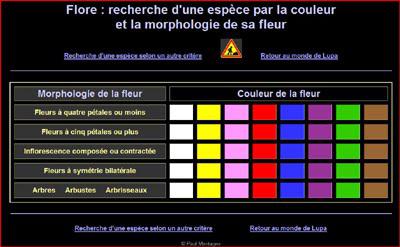 Quelques modifications pour optimiser la recherche d’une espèce dans le Monde de Lupa