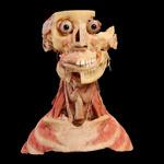 Des macchabées en ligne !