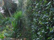 Nettoyage d'automne journal novembre 2010