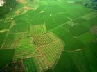 Observés depuis le ciel, les paysages de Yangshuo témoignent de l’activité agricole de cette ville de Chine.