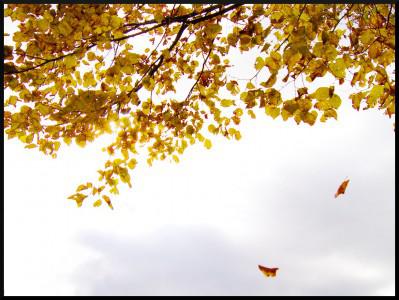 couleurs d’automne