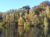 vous quelque chose...