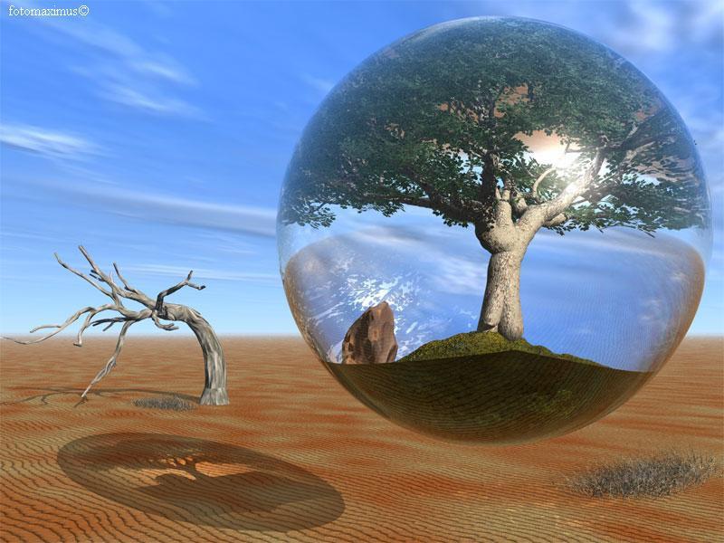 En quête de ciel (Tayana)