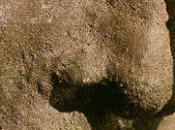 sourires pleurs effleurent plafond