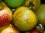 Journées Pomme produits Naturels week-end Bastelica