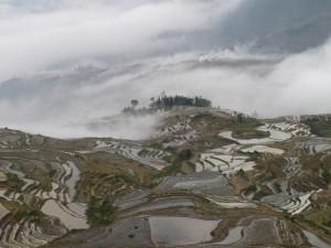 Yunnan – Yuanyang dans les nuages