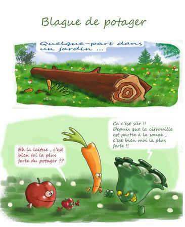 Planche_l_gumes_1